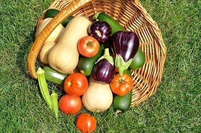 河南加盟農(nóng)產(chǎn)品牌大全