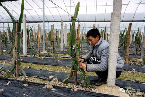 我區(qū)新增兩家市級創(chuàng)業(yè)孵化基地