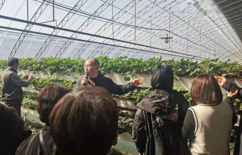 滄州市高素質(zhì)農(nóng)民考察團(tuán)來我鎮(zhèn)考察參觀