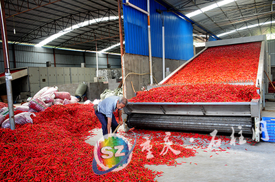 重慶·石柱網(wǎng)