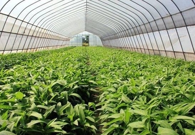 關(guān)于菜市場,你不知道的這些事…