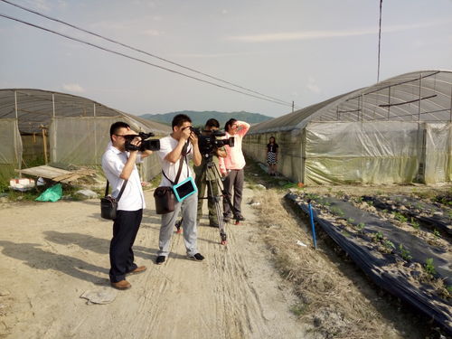 新豐這家龍頭企業(yè) 帶動(dòng)四鎮(zhèn)四十多個(gè)自然村村民從事農(nóng)產(chǎn)品種植