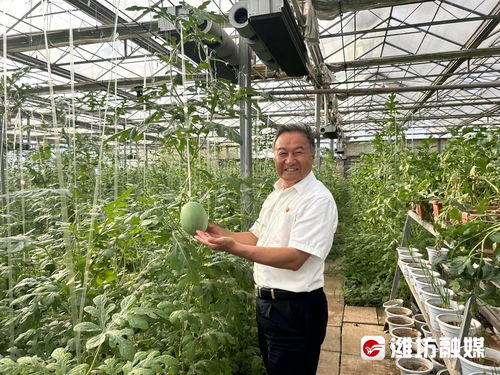 村村有好戲 特色農(nóng)業(yè)走出 硒 望之路