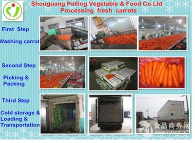 壽光市裴嶺蔬菜食品