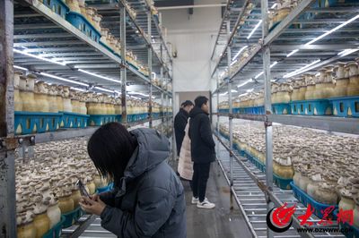 聚焦青島西海岸新區(qū)農(nóng)產(chǎn)品區(qū)域公用品牌全國媒體聯(lián)合采風(fēng)活動(dòng)正式啟動(dòng)