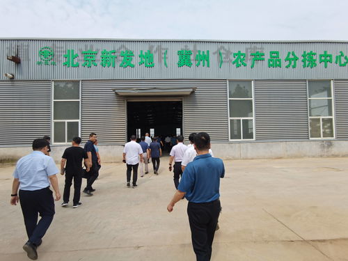 新發(fā)地商戶組團(tuán)在衡水發(fā)展種植基地,環(huán)首都農(nóng)產(chǎn)品保供倉基本落成