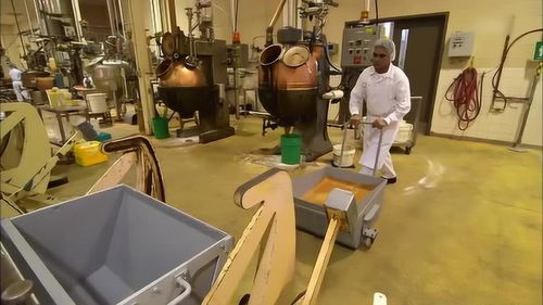 食品加工廠 五種不同口味的太妃糖,濃濃的黃油奶油香草口味