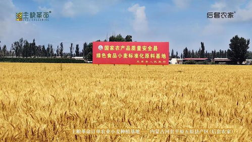 主糧革命 扎根產(chǎn)業(yè)的戰(zhàn)略創(chuàng)新與情懷堅(jiān)守