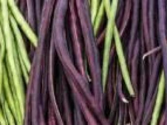 圖 深圳送菜公司深圳蔬菜配送深圳農(nóng)產(chǎn)品配送 深圳生活配送