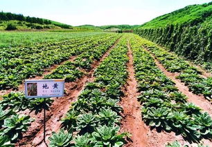 長治又榮登國家榜單啦 其中包括咱們屯留的