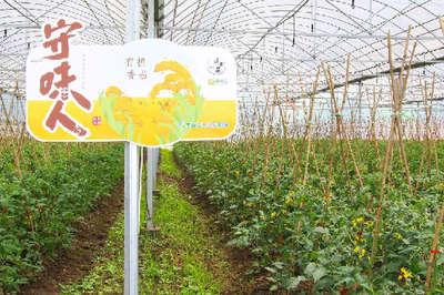 蘇州:農牧人尋找“守味人” 計劃助力地產特色農品擴圈