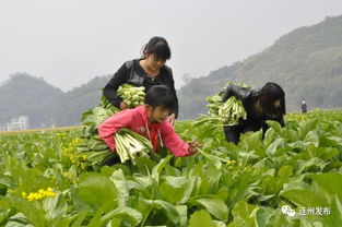 為了這兩件事,連州舉行誓師大會