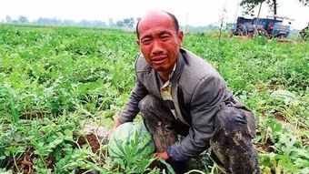 地震會對農產品會有何影響