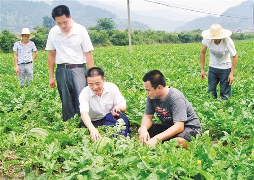 經濟日報多媒體數字報刊