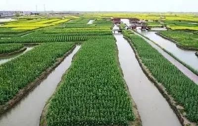 喜訊 我市又有3個入選