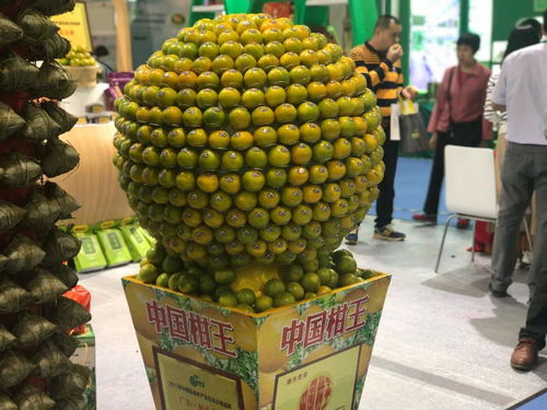 第八屆廣東現代農業博覽會開幕,3000多種優質農產品等著你