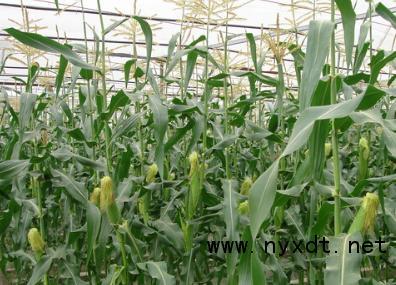 農產品網官微的主頁