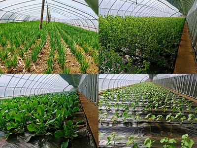 吉林市春耕專題