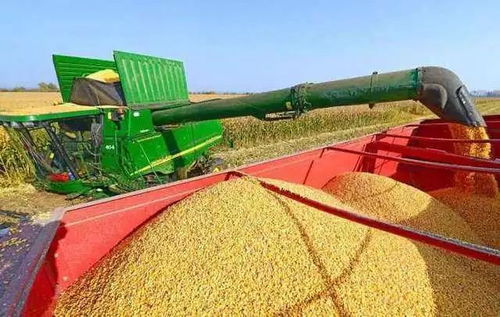 取消水稻最低收購價,國家正在研究的三種補貼方案