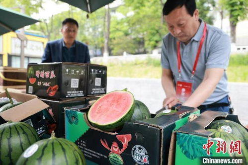 盤活魚米之鄉 土特產 江蘇 農情四季 繪鄉村振興新圖景