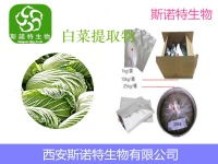 大白菜供應 大白菜供應價格 報價 大白菜供應品牌廠家