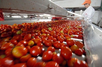 新疆為世界生產火紅“陽光食品”