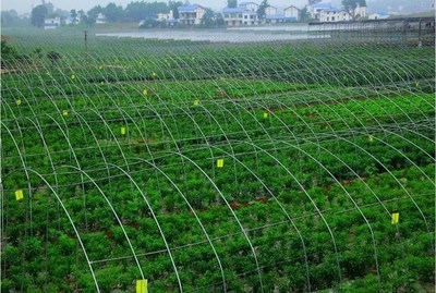 農民種植農產品不掙錢,除了品質外,和這4點因素關系有多大