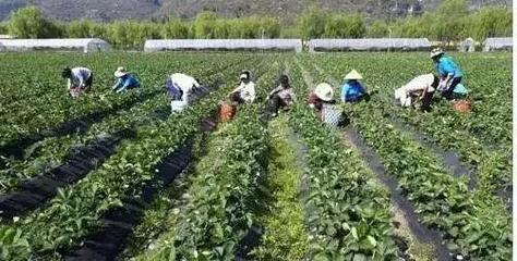 農村創業小項目2017年熱門賺錢項目 白手起家創業小項目