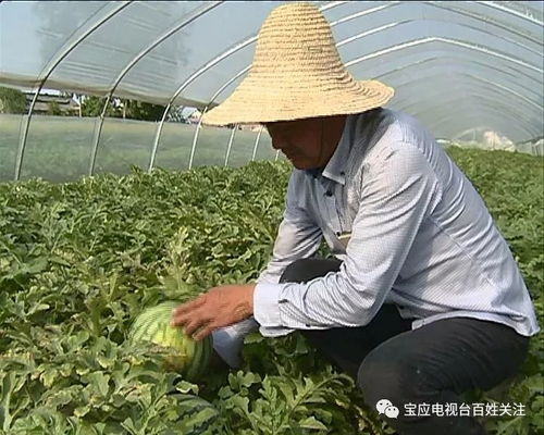 全縣首家農業產業協會成立