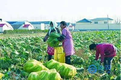 聚焦山東省兩會:探尋山東品牌戰略下的“青島作為”