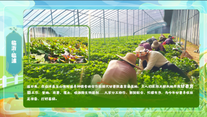 齊魯耕韻·現代農業