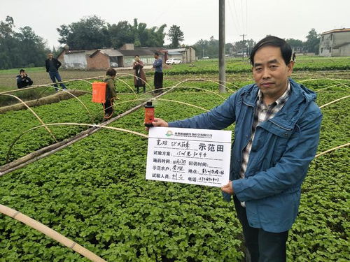 成都造 放心用⑨丨從土壤到餐桌 成都企業致力提供綠色農業解決方案