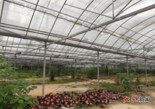 玉山縣巖瑞鎮周佃村10畝現代化大棚招商公告