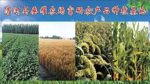 你的健康,才是我們的希望 清河垂耀農場富硒農產品種植基地