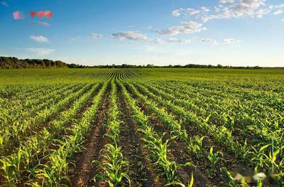 什么是托管服務器?