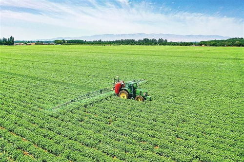 甘肅農墾集團 奮力向國內一流現代農業企業集團邁進