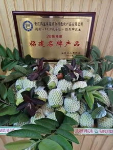 泉州文創產品展精品登場 晉江方陣