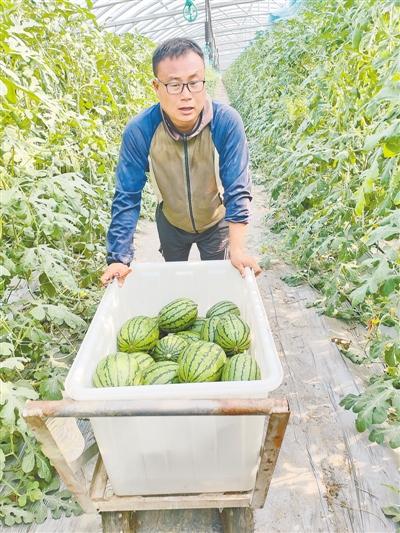 喬帥 新農人 玩轉高科技農業