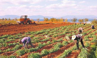 這幾樣你知道嗎 在土地上建房辦房產證好處多多