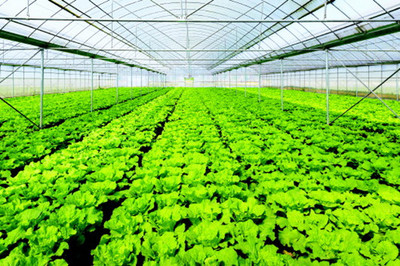 智慧訂單打通遵義匯川農(nóng)產(chǎn)品全產(chǎn)業(yè)鏈