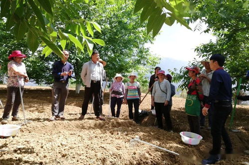 決勝脫貧攻堅(jiān)丨橫山村 破繭成蝶向高飛