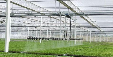 數(shù)字種苗技術(shù)創(chuàng)新按下快進(jìn)鍵