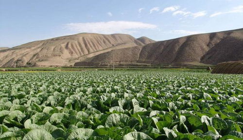 距離蘭州最近的三個(gè)縣,可搭順風(fēng)車(chē),前途不可限量