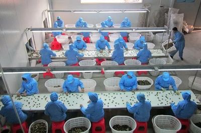 隨州“四大產(chǎn)業(yè)基地"!壯壯壯!