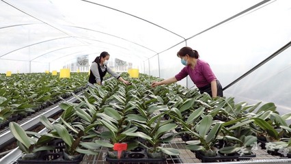 清水扶貧車(chē)間復(fù)工復(fù)產(chǎn)穩(wěn)就業(yè)(圖)