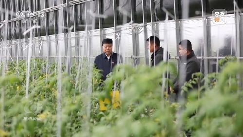 焦點(diǎn)訪(fǎng)談丨履職見(jiàn)證 非凡五年