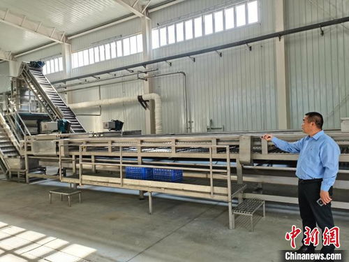 項目建設為經濟高質量發展賦能