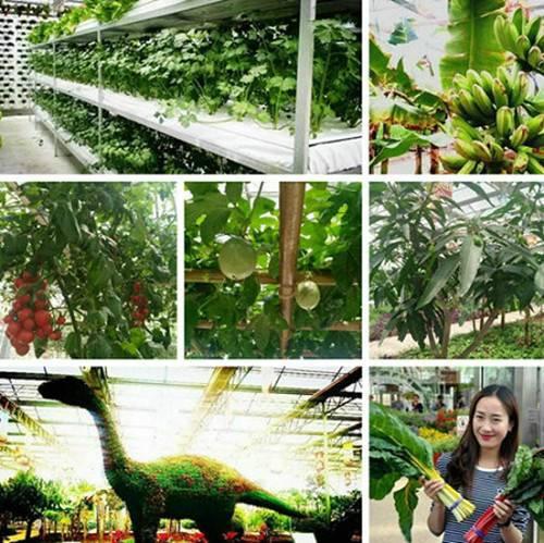 醉美汝陽景美農產品更香 又有3種農產品獲國家農產品地理標志認證