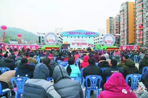 桂林平樂 回首2018,啟航2019,奮斗,讓平樂更精彩 旅游