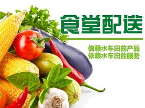 長沙蔬菜配送中心 長沙蔬菜配送哪家好,長沙蔬菜配送中心 長沙蔬菜配送哪家好生產廠家,長沙蔬菜配送中心 長沙蔬菜配送哪家好價格